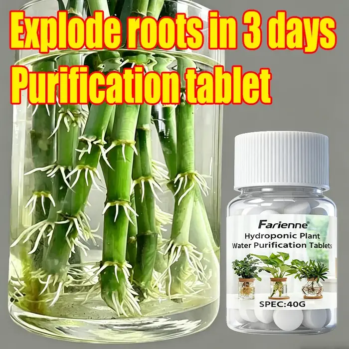 Farienne 100 comprimés de purification d'eau pour plantes hydroponiques 40G - Activateur de racines 