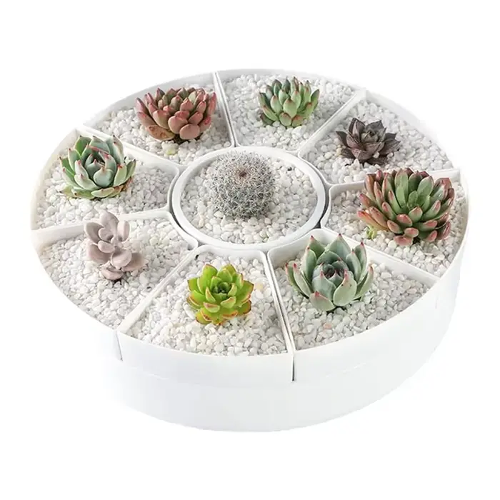 Pots de fleurs rotatifs multiples de forme ovale - Plante en pot pour plantes succulentes blanches -