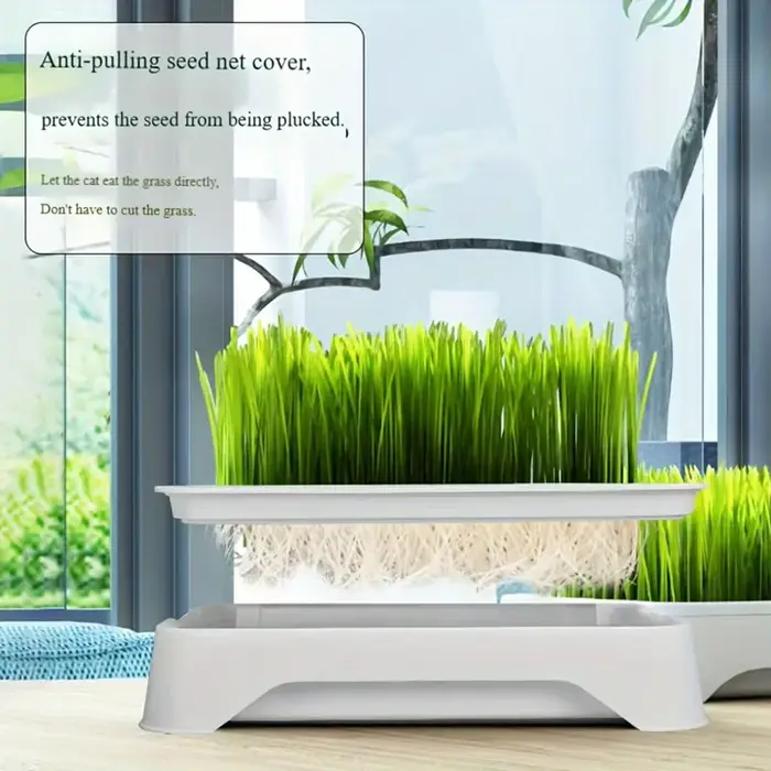 Bac de culture hydroponique pour herbe à chat