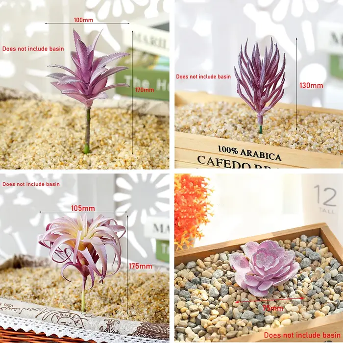 Tête de fleur succulente