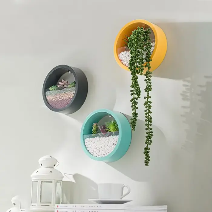 Jardinière succulente ronde