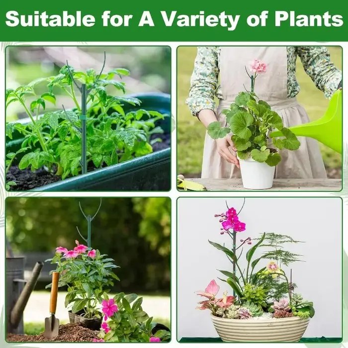 Piquets de Support pour plantes
