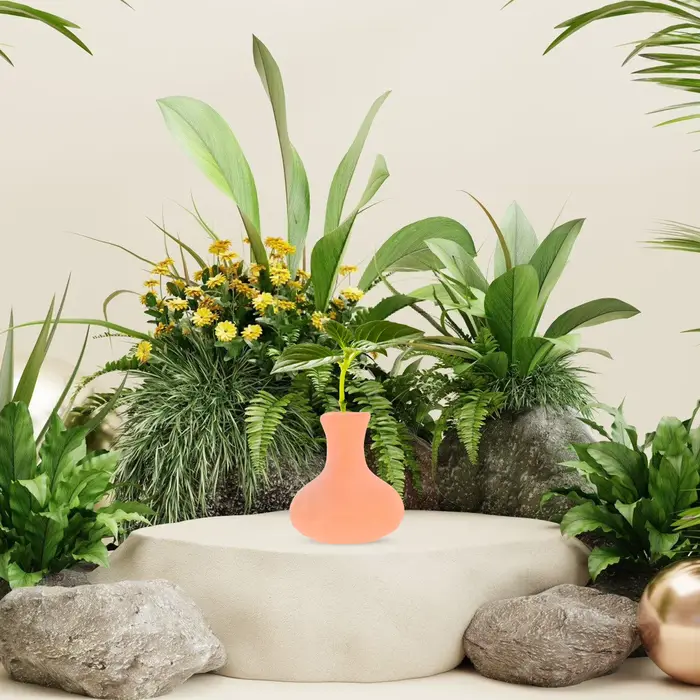 Mini Pot en terre cuite rouge pour plantes succulentes