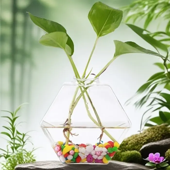 Vases muraux pour plantes d'intérieur