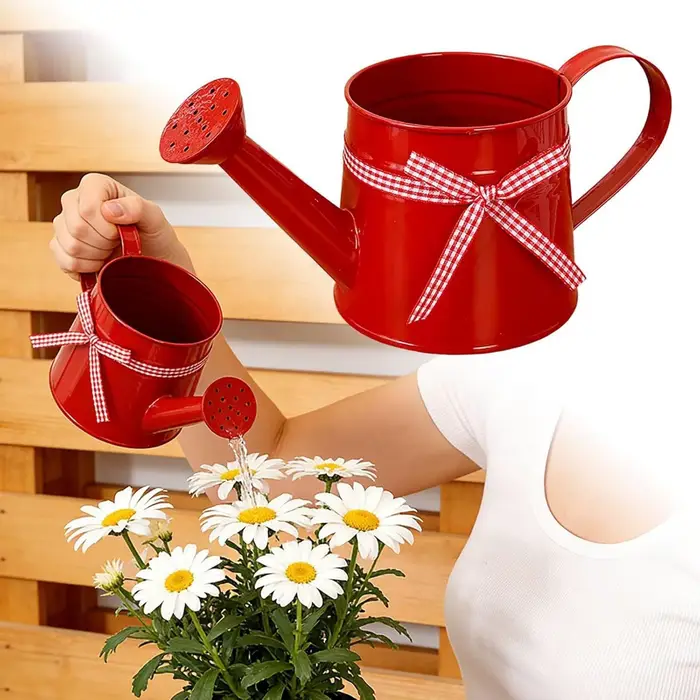 Arrosoir de jardin moderne 1L pour plantes et fleurs
