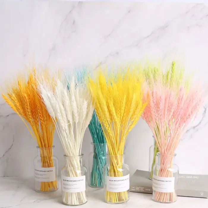Fleurs Naturelles vaccées avec Pointes de Blé