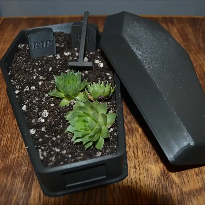 1 pièce Pot à succulentes imprimé en 3D