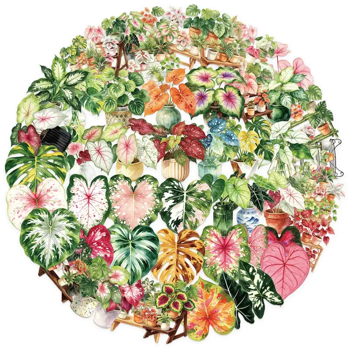Ensemble de 50 autocollants représentant des plantes de caladium en pot, idéal pour décorer un ordin