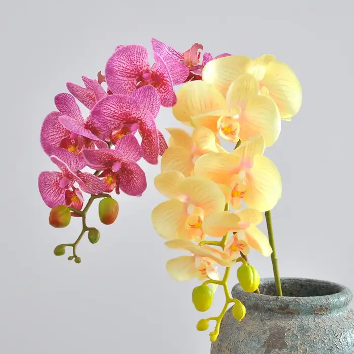 Branche d'orchidée hydratante