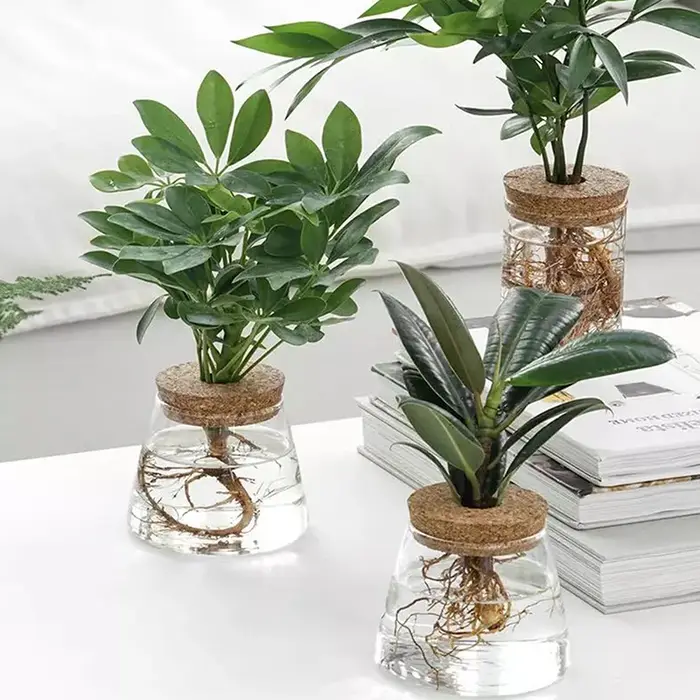 Pot de fleurs hydroponique transparent imitation verre