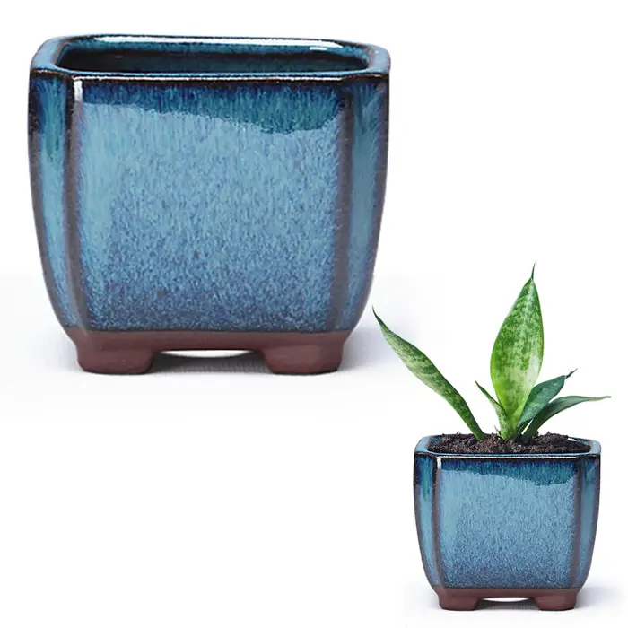 Pot de fleur succulent en céramique avec évent