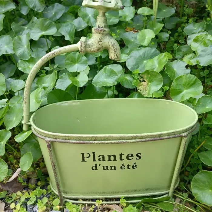 User inière Ovale en Fer pour Plantes de user inage