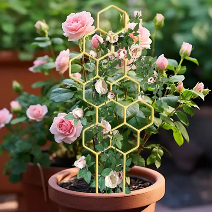 Clip de support pour plantes grimpantes