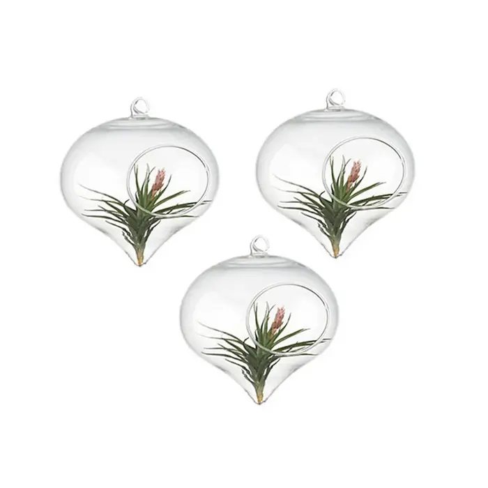 Vase à Boules de Verre de 11x9cm pour Décoration de Mariage