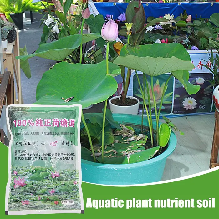 Substrat nutritif pour plantes aquatiques