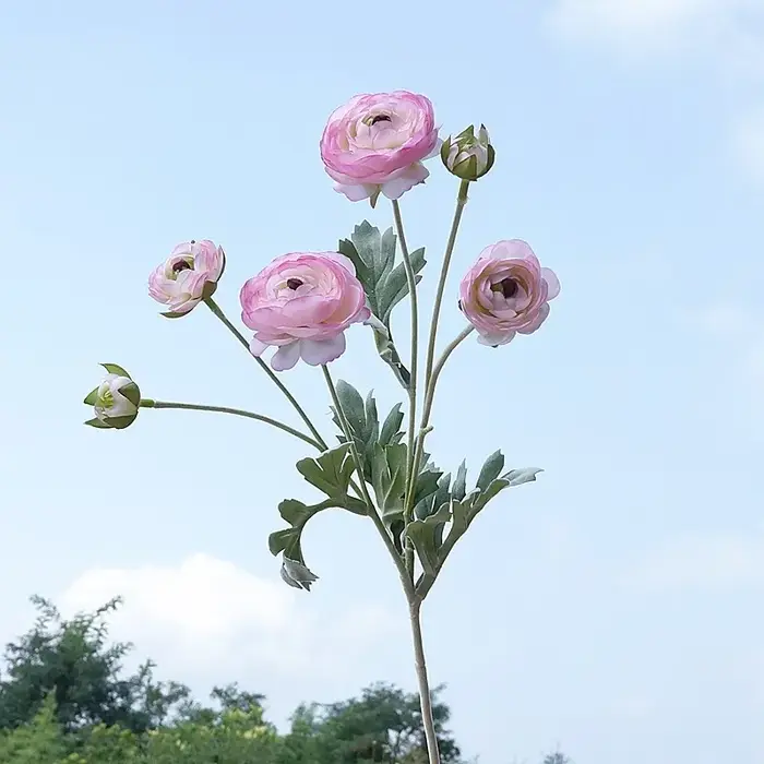 Fausses fleurs de Lotus camélia Ranunculus artificielles de 26.77 pouces