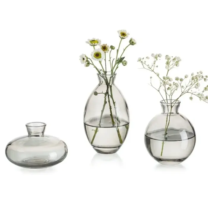 Mini vase à fleurs en verre transparent