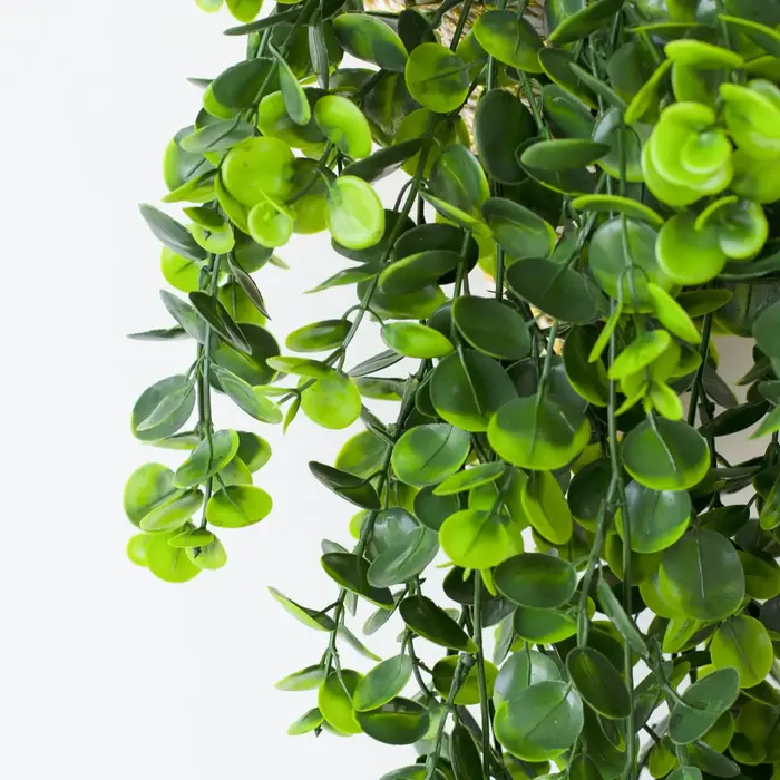Plante verte artificielle d'eucalyptus