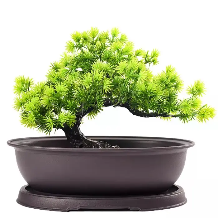 Pots de fleurs en plastique imitation argile violette pour plantes succulentes
