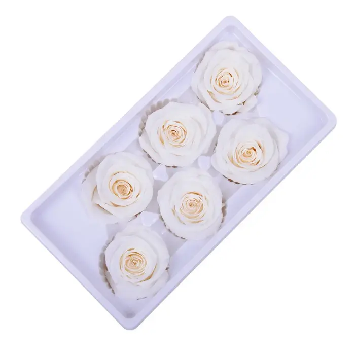 6 pièces/boîte fleurs conservées de haute qualité Roses immortelles 5-6CM de diamètre cadeau de noël