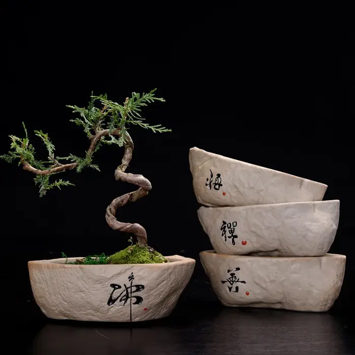 Pot de fleurs pour plantes hydroponiques Non poreuses