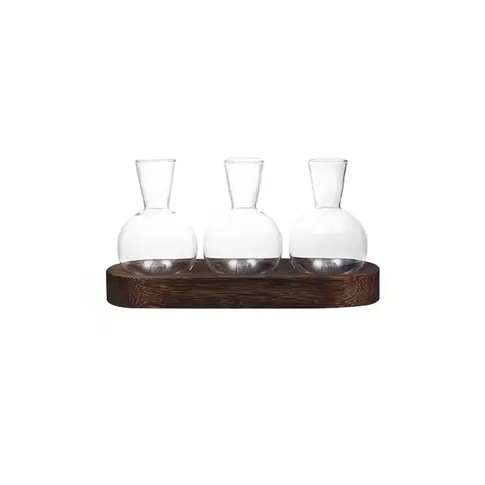 Terrarium en verre pour plantes avec plateau en bois – Pour la propagation hydroponique en intérieur