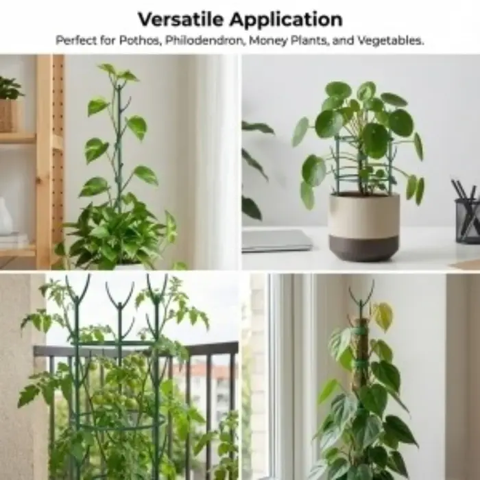 Supports pour plantes Monstera, 5 cadres de support et 1 rouleau de Velcro, piquets de jardin conçus spécifiquement pour les tiges des plantes grimpantes.