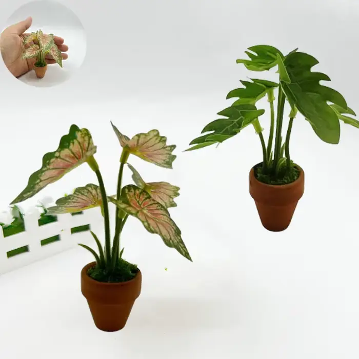 Mini plantes en pot vertes à dos de tortue Taro