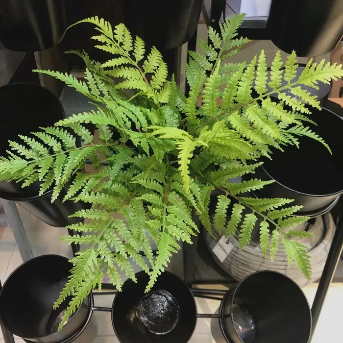 Plantes artificielles pour chambre à coucher