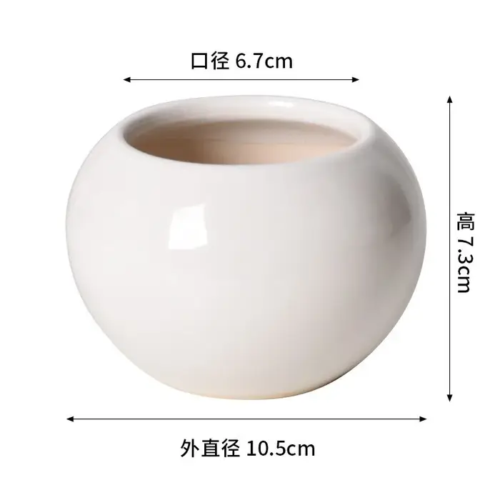 Petit pot rond en céramique pour plantes succulentes