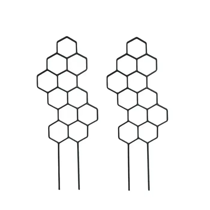 Deux supports pour plantes grimpantes en nid d'abeille de 14