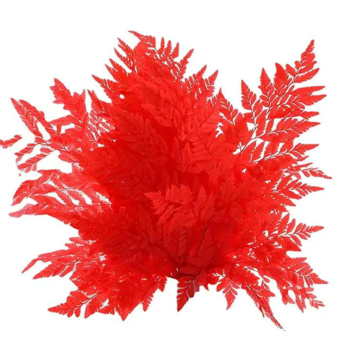 10 pièces de feuilles de fougère alpine éternelle