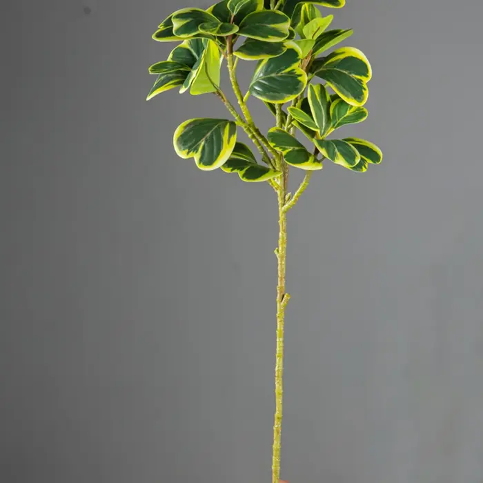 Arbre artificiel Ficus de 76 cm/115 cm