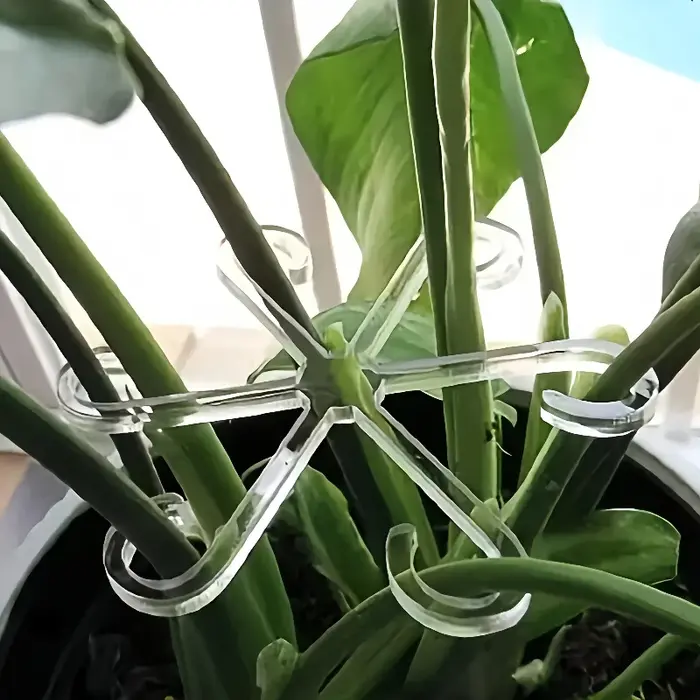 Clips de Support pour plantes grimpantes