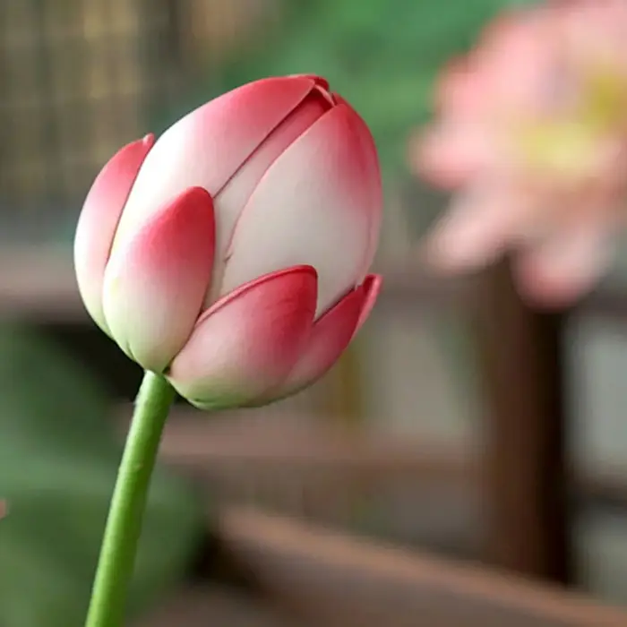 Fleur artificielle artistique pour décoration DIY, fleur de lotus simulée en EVA, plante verte à longue tige, fausse fleur décorative