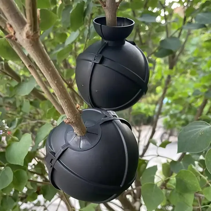 Boule de bouturage pour plantes, boîte de greffage, substrat fertilisant, pour la propagation et la transplantation des plants en pot de jardin