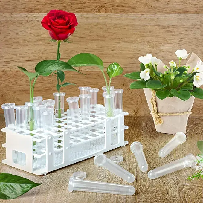 Tube de nutrition hydroponique avec couvercle pour plantes à fleurs