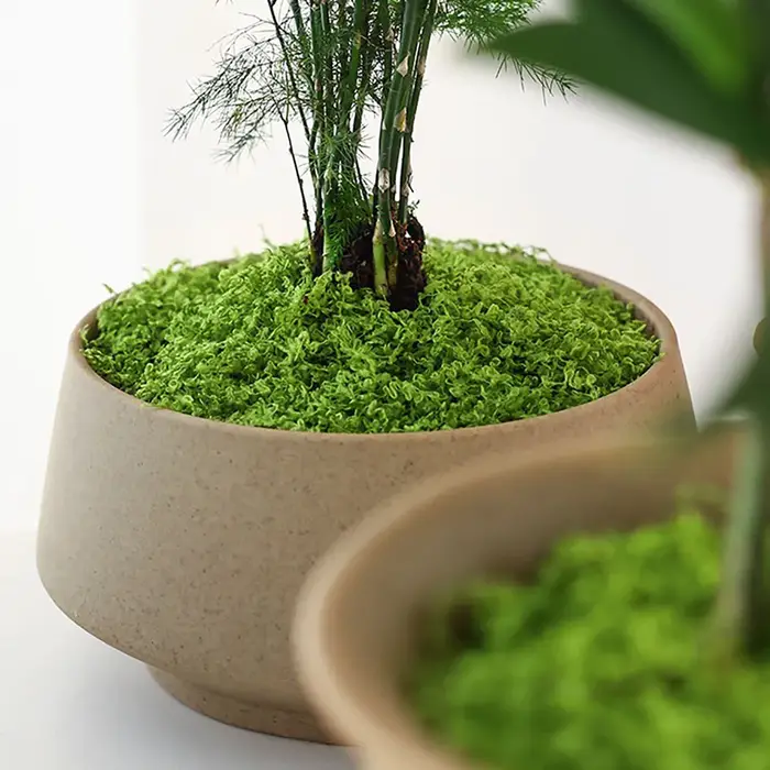 Plantes vertes artificielles en Polyester