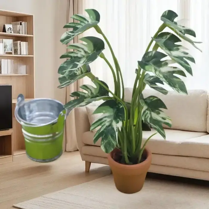 Plante Monstera Miniature délicate pour maison de poupée 1/12