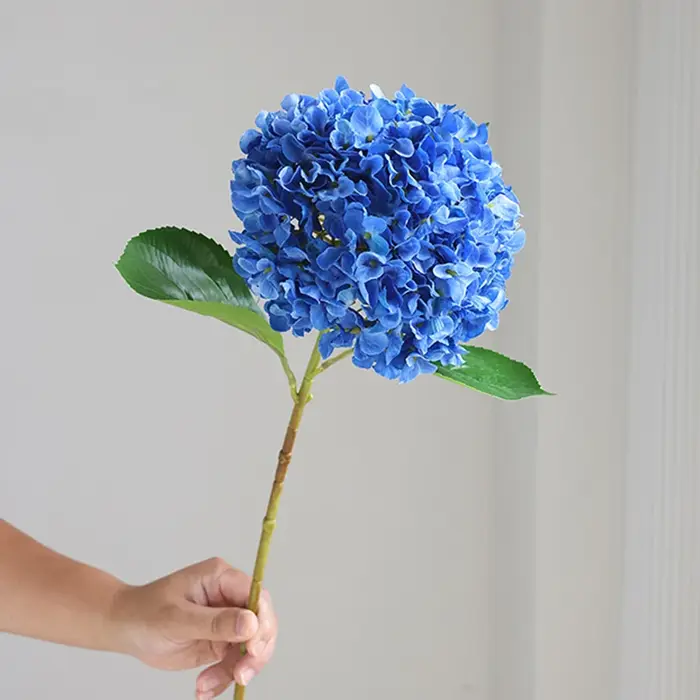 InjSimulation-Fleur d'hortensia de style européen