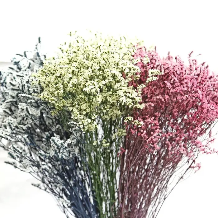 Fleurs naturelles séchées et conservées