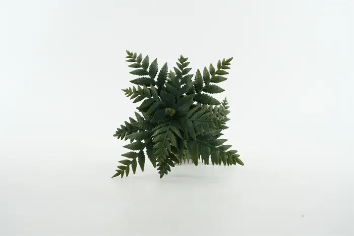 TNG Studio T6080 Alsophila Spinulosa Modèle Pteridophyta Arbre Collection Scène Décoration Accessoire Cadeau d'anniversaire Figurine de plante