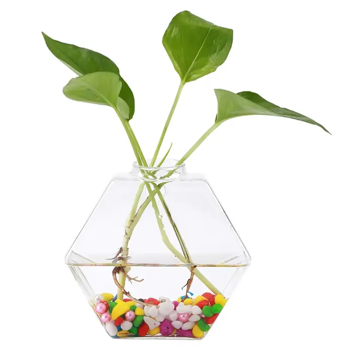 Vases muraux pour plantes d'intérieur