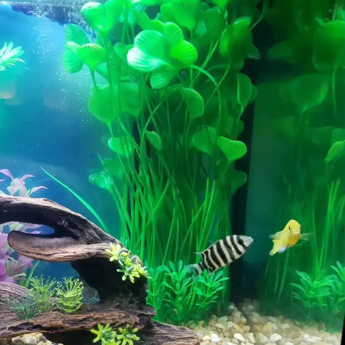 Plantes artificielles pour aquarium de 40 cm