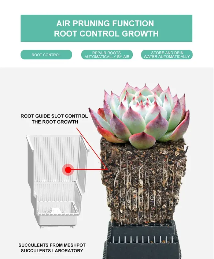 Meshpot – jardinières succulentes avec plateau en plastique