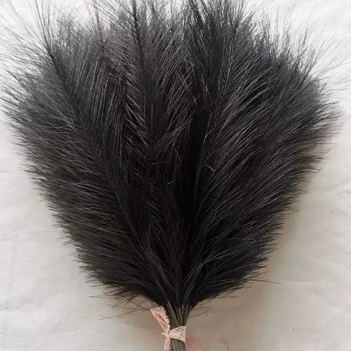 Pampa pelucheux noir, 100 pièces
