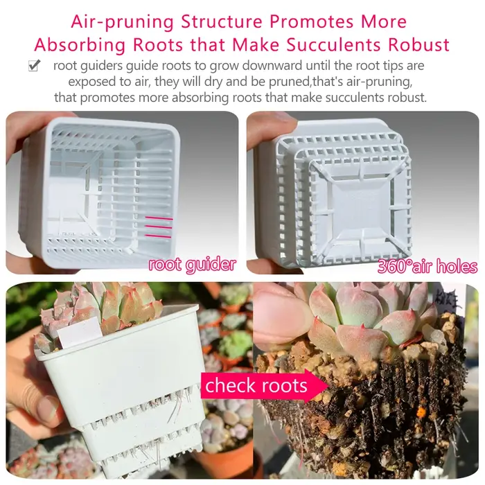Meshpot-Pot carré pour plantes succulentes avec trous d'air