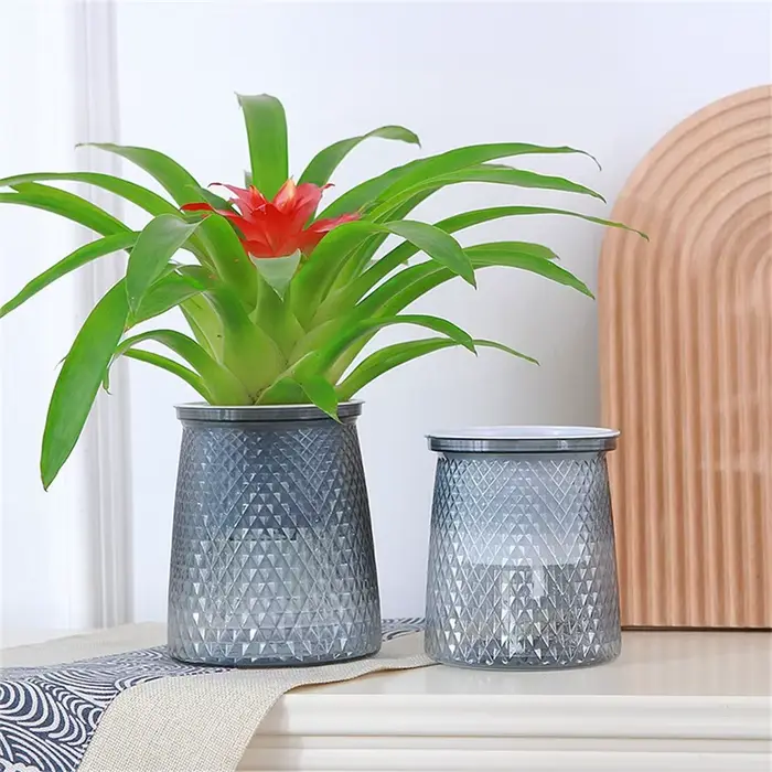 Pot de plantes hydroponiques auto-arrosant