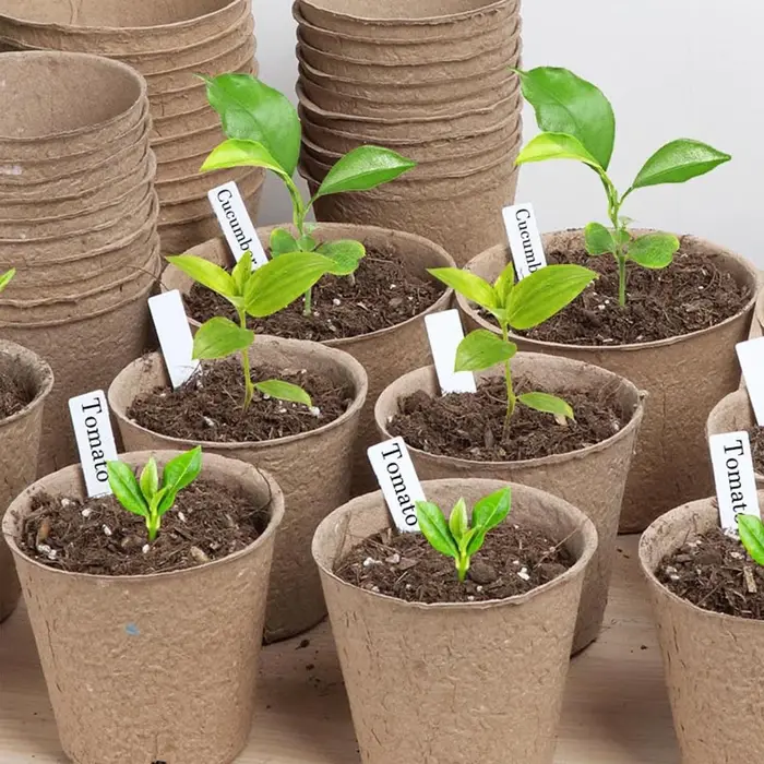 Étiquettes de plantes de jardin, accessoires pour plantes, pots de fleurs, étiquettes de plantes en plastique imperméables, marqueurs de pépinière, étiquettes de plateau, outil de bricolage