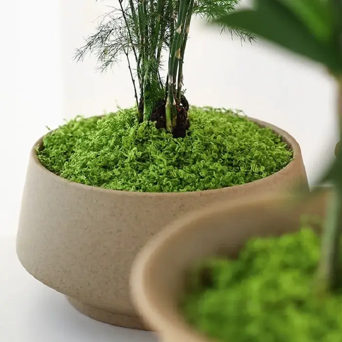 Fausse mousse verte artisanale